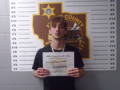 Mugshot of Williams, Trenton Lee