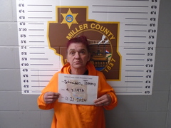 Mugshot of Schnieders, Tammy Michelle