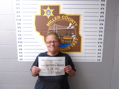 Mugshot of Holloway, Deborah Sue