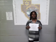 Mugshot of Jenkins, Clyde Michael