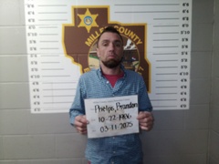 Mugshot of Phelps, Brandon Michael