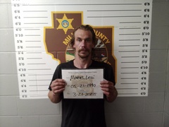 Mugshot of Markes, Levi Grant