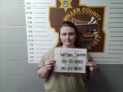 Mugshot of Wilson, Sarah Marie