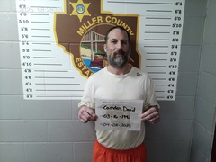 Mugshot of Camden, David Lee