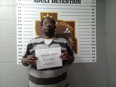 Mugshot of Bostick, Jenard J