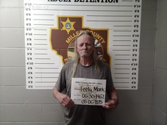 Mugshot of Feely, Mark Kurtis